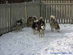 parc01.jpg (65143 octets)