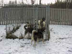 parc02.jpg (113929 octets)