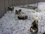 parc05.jpg (92220 octets)